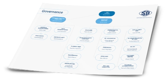 Soffieria Bertolini Governance 02-07-2026